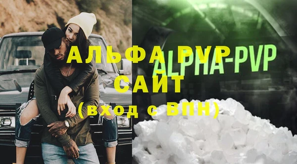 прущие грибы Верхний Тагил